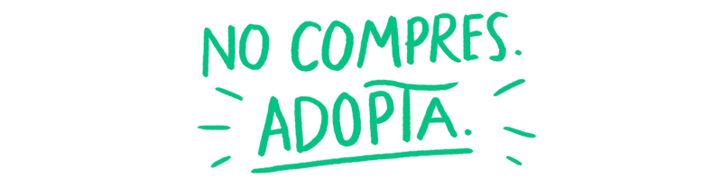 No compres. Adopta.