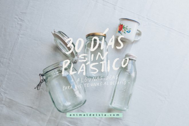 30 días sin plástico + algunas ideas para que te unas al desafío