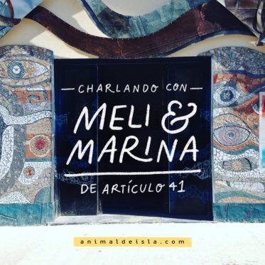 Charlando con Meli & Marina, de Artículo 41