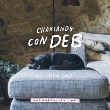 Charlando con Deb, de oyedeb.com