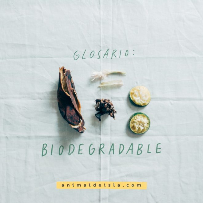 Glosario: Biodegradable